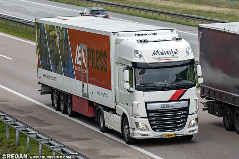 DAF XF - Molendijk IEA Press.jpg