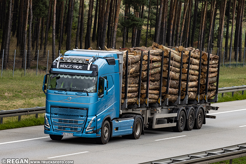 Volvo FH - Holz Trans.jpg