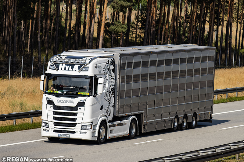 Scania S500 - Hyla.jpg