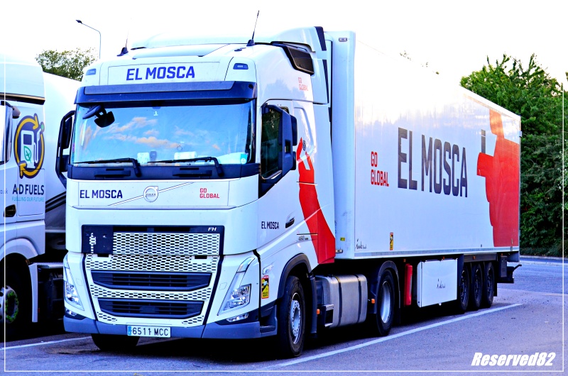 DSC_6584 El Mosca.JPG