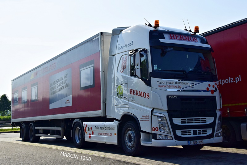 _DSC8807-crop-HERMOS-VOLVO FH4.JPG