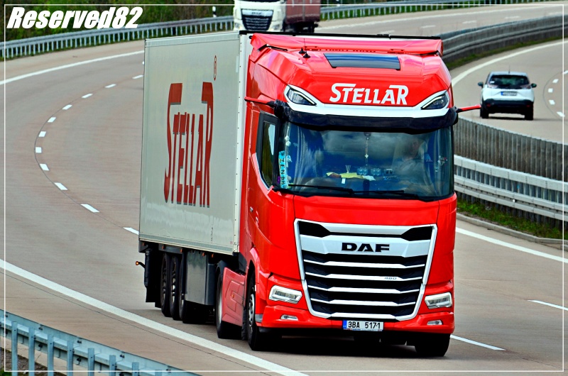 DSC_4915 Stellar czechy.JPG