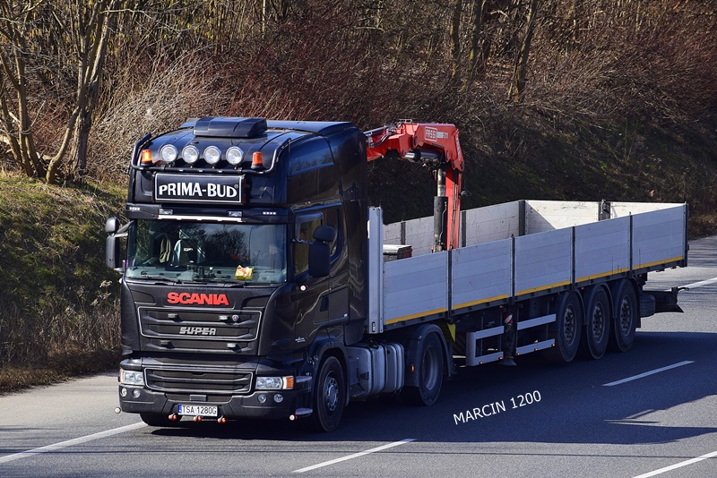 PRIMA-BUD-crop-SCANIA R.JPG