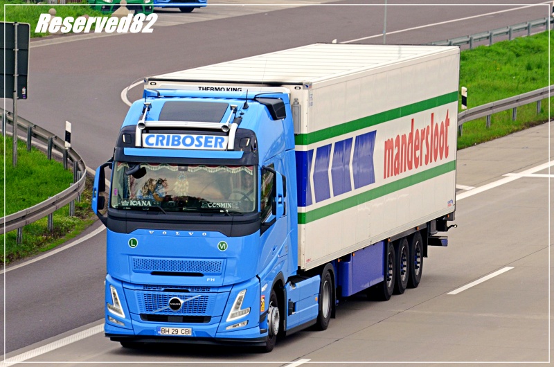 DSC_4481 criboser Aero.JPG