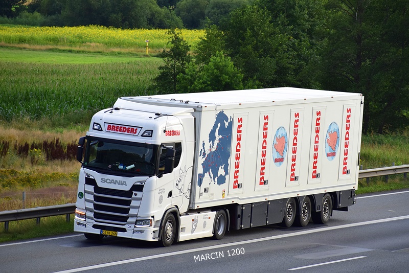 _DSC8254 BREEDERS-crop-SCANIA S.JPG