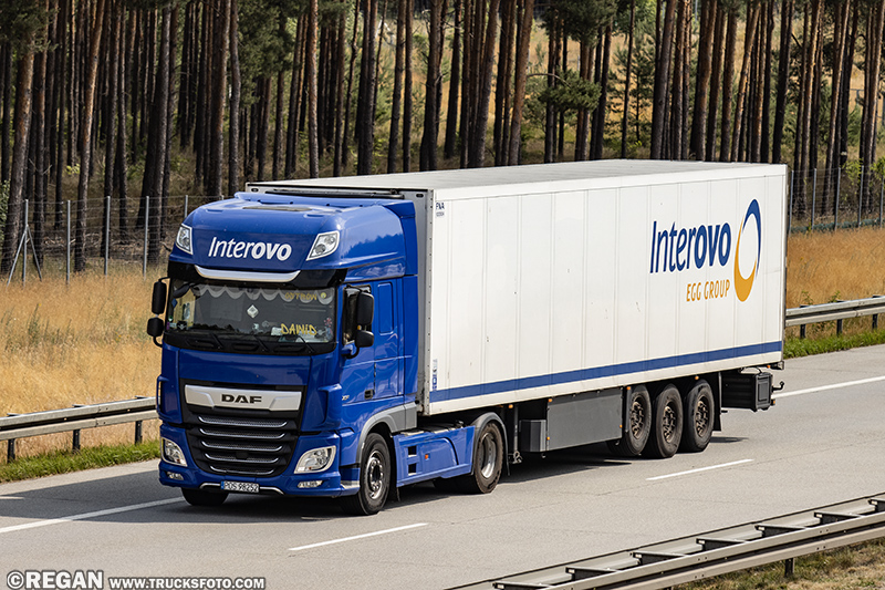 DAF XF - Interovo.jpg