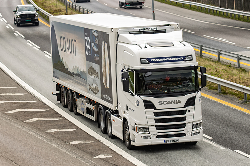 Scania R660 V8 - Intercargo.jpg