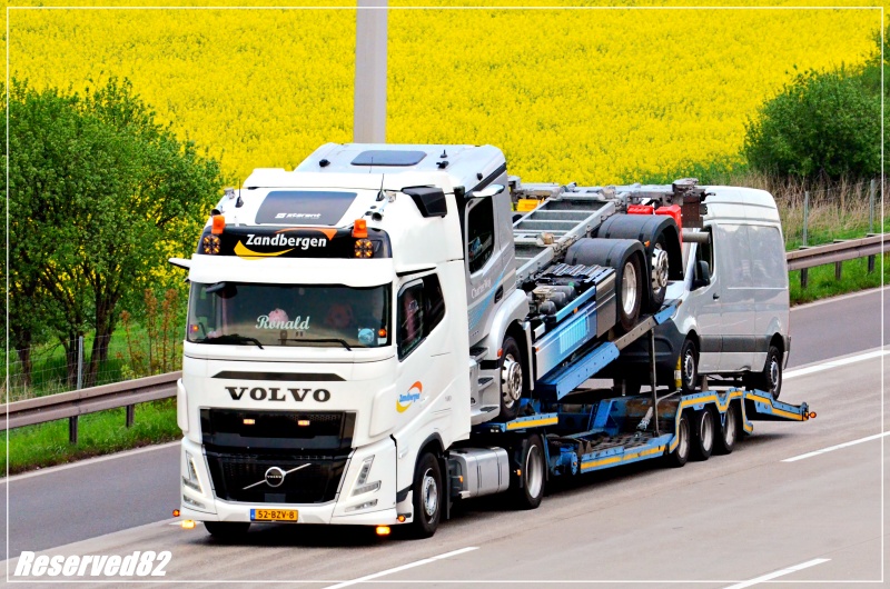 DSC_0674 ZANDBERGEN NL.JPG