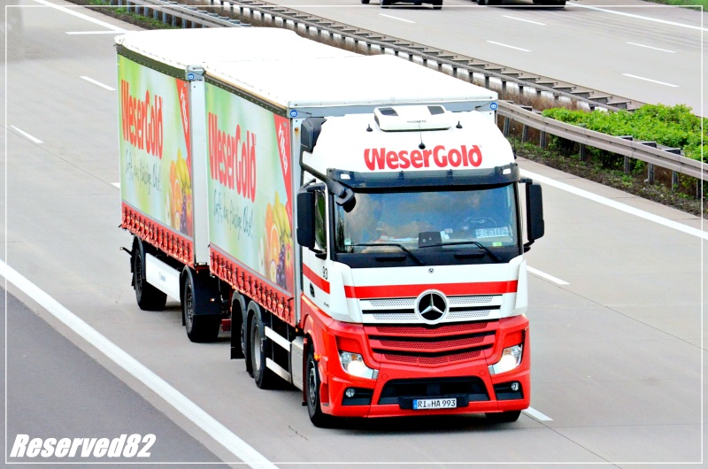 DSC_0590 WESERGOLD.JPG