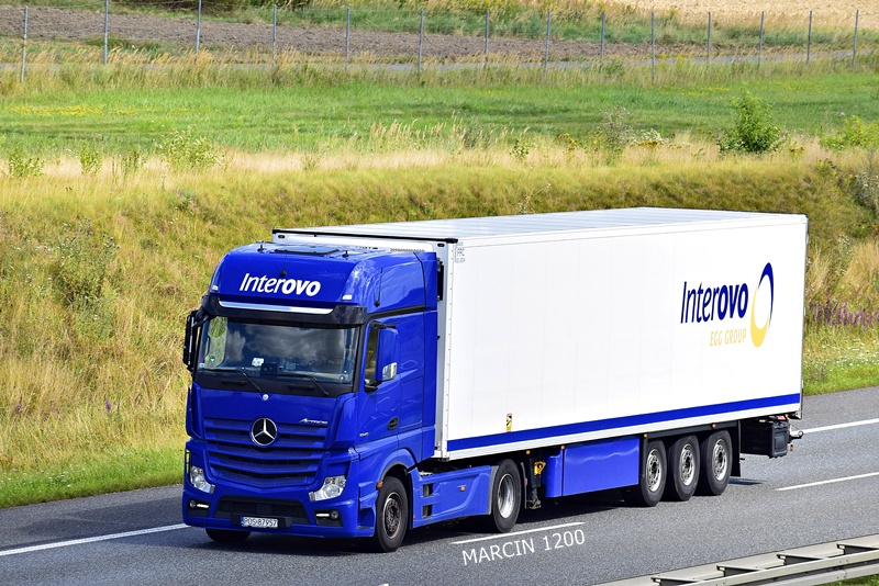_DSC00011 (1440) INTEROVO-crop-ACTROS MP4.JPG