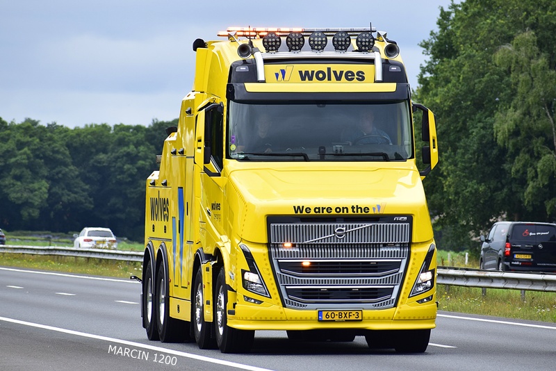 _DSC0219 WOLVES-crop-VOLVO VT5 - VLASTUIN.JPG