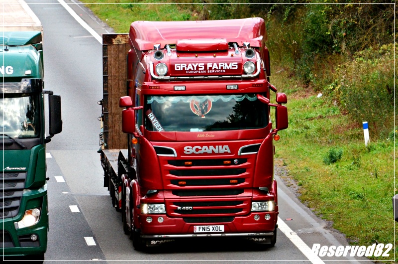 DSC_6503 Grays Farms.JPG