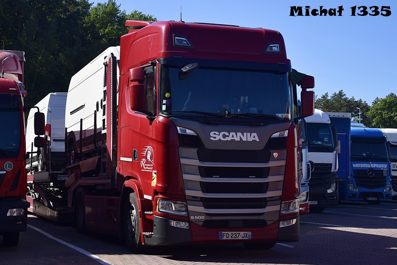 _DSC2247-crop SCANIA ROMANIS.JPG