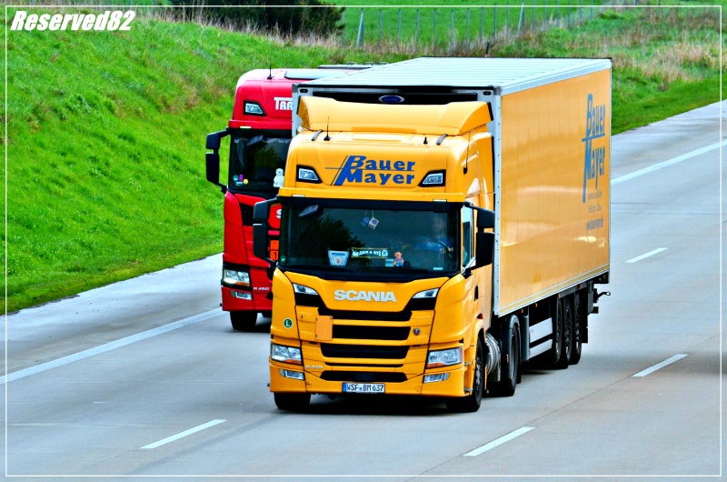 DSC_8733 BAUER MAYER Drezno.JPG