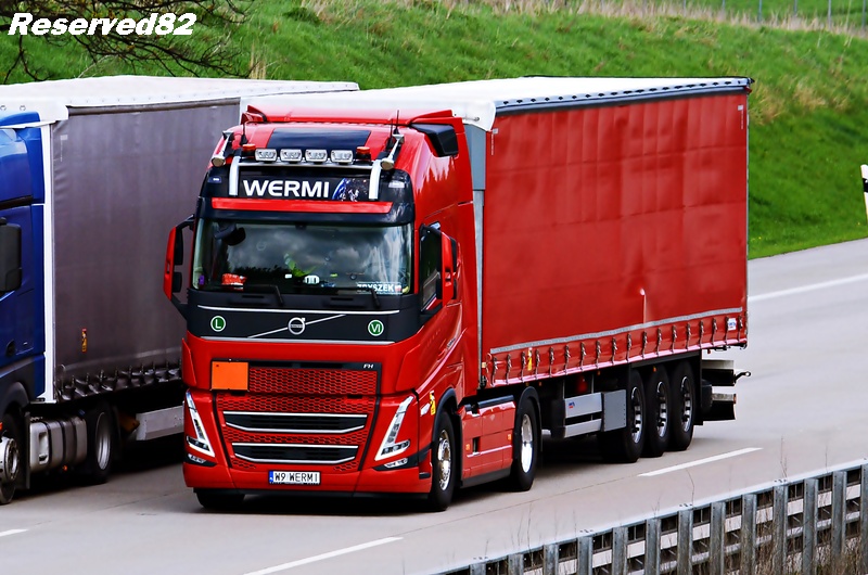 DSC_3102 Wermi 1.JPG