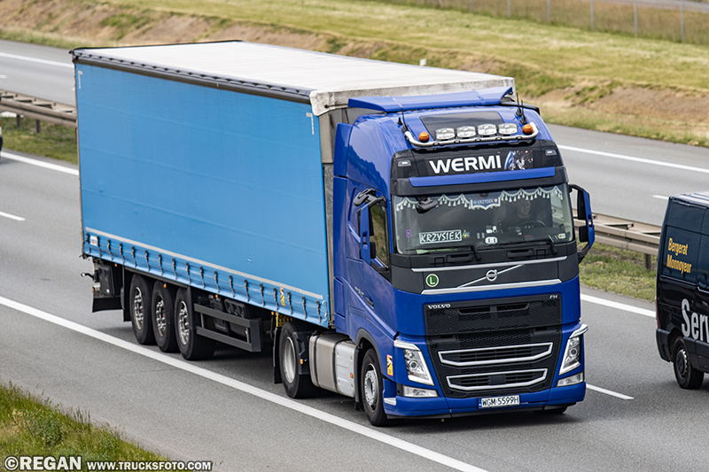 Volvo FH4 - Wermi.jpg