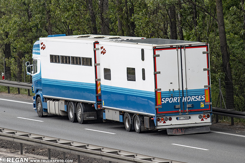 Scania R - Sport Horses.jpg