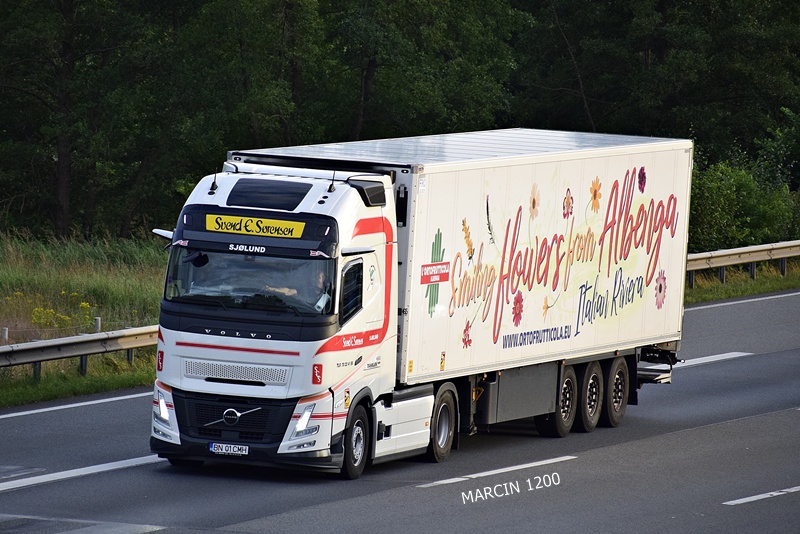 _DSC8295 Svend E. Sorensen-crop-VOLVO FH AERO.JPG
