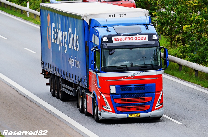 DSC_6111 ESBJERG GODS.JPG