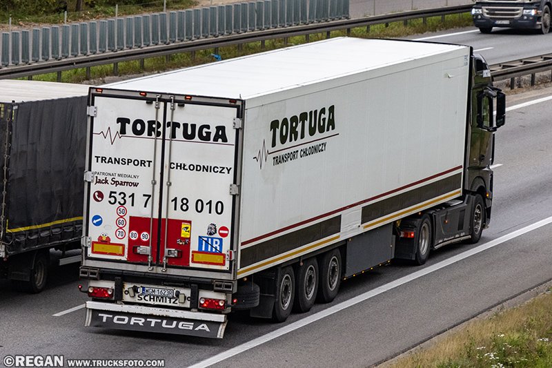 Mercedes - Tortuga.jpg