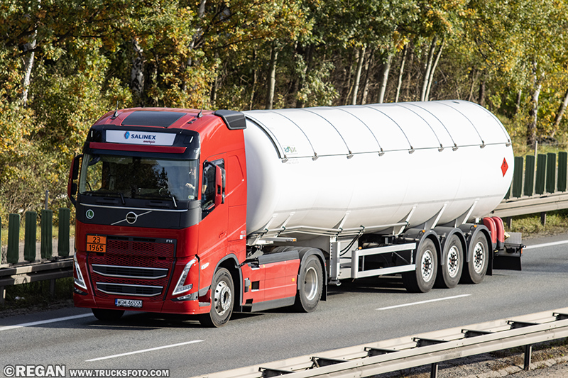 Volvo FH - Salinex.jpg