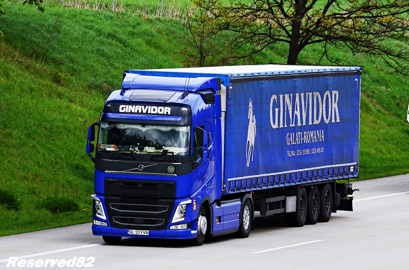 DSC_3097 GINAVIDOR.JPG