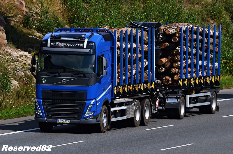 DSC_5600 TRANSPORT DREWNA.JPG