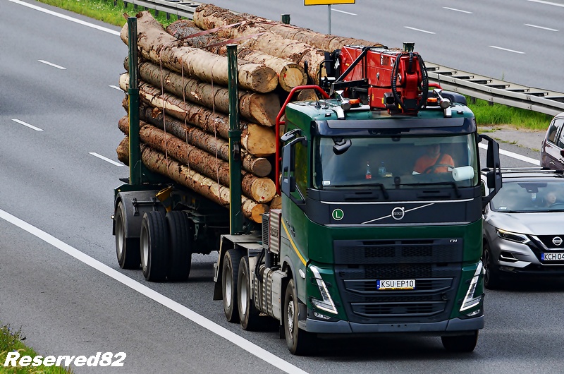 DSC_5285 TRANSPORT DREWNA.JPG