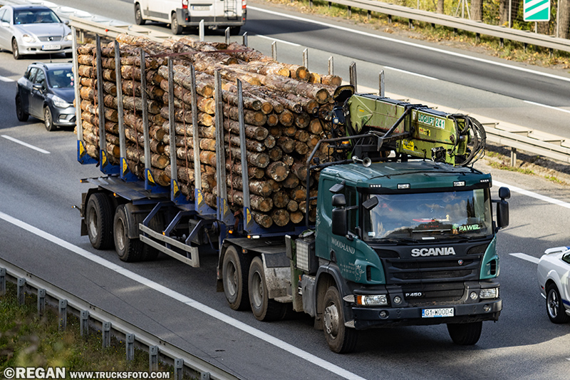 Scania P450 - Wood-Land.jpg