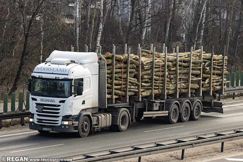 Scania R450 Streamline - Wood-Land.jpg