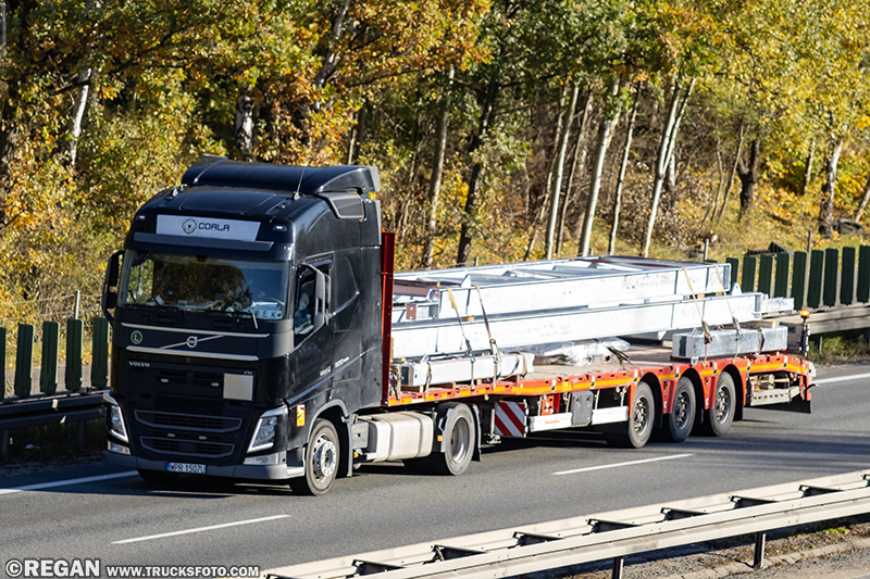 Volvo FH4 - Coala.jpg
