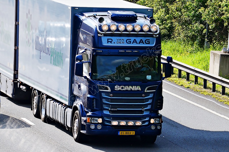 DSC_2172 R VAN DER GAAG 1.JPG