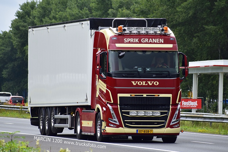_DSC0491 SPRIK GRANEN-crop-VOLVO FH5.JPG