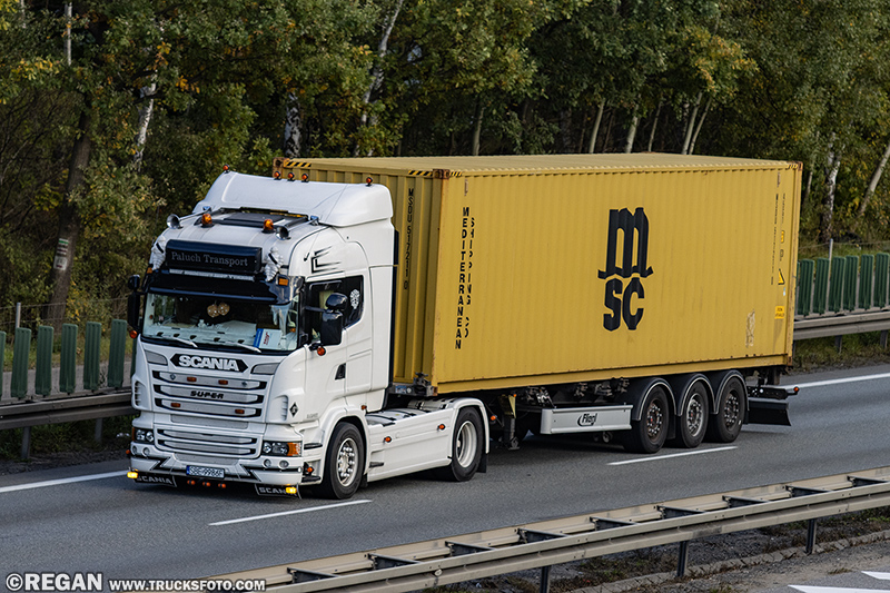 Scania R - Paluch Transport.jpg