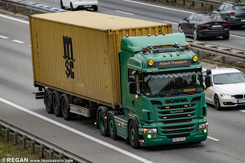 Scania R500 - Paluch Transport.jpg