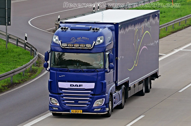 DSC_5583 H&C Blumen.JPG