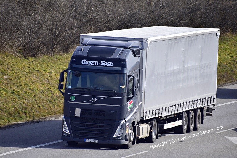 _DSC2455 GUSZTI-SPED-crop-VOLVO FH5.JPG