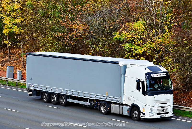 DSC_8773 LION GLOBAL.JPG