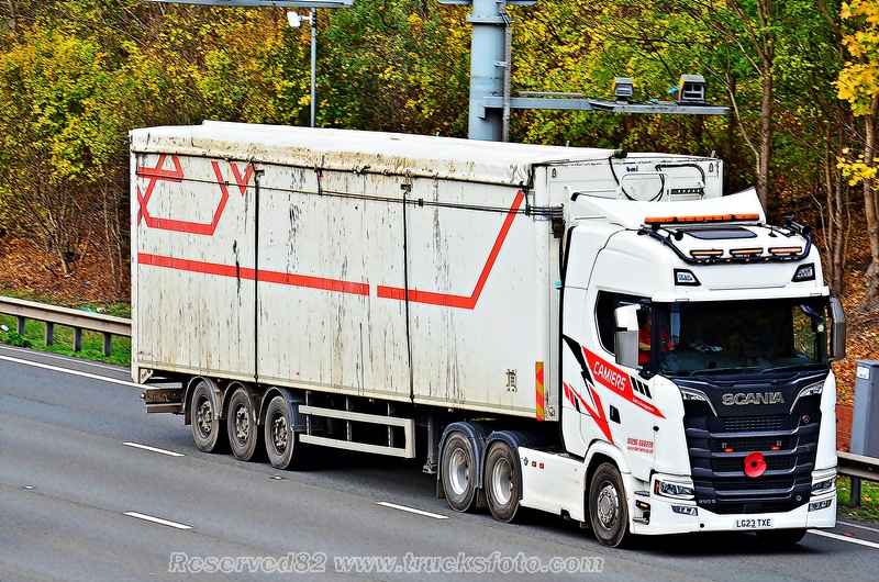 DSC_9245 CAMIERS.JPG