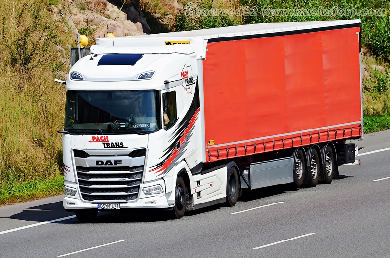 DSC_5780 PACH TRANS.JPG