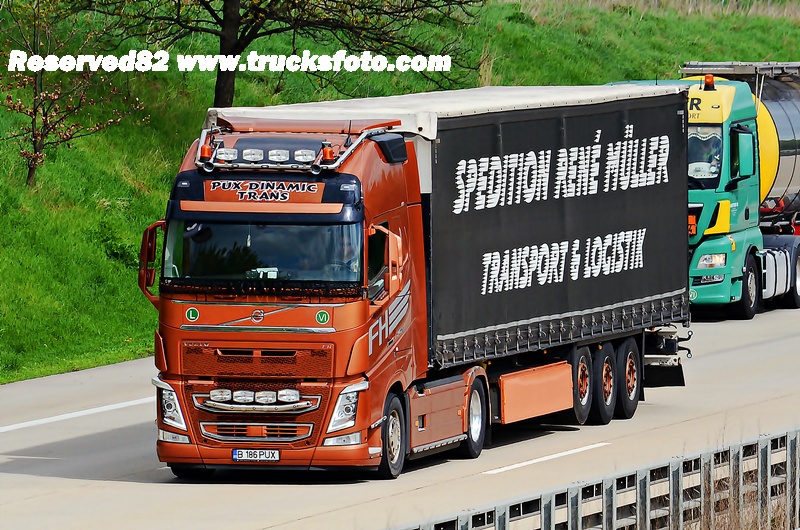 DSC_2896 PUX DINAMIC TRANS.JPG