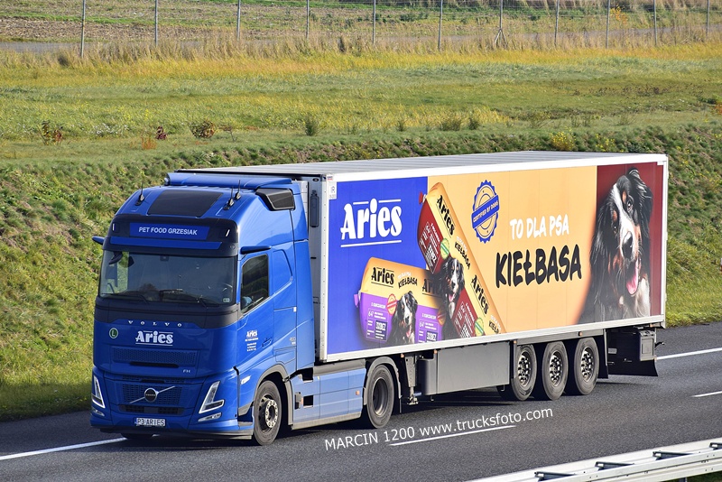 _DSC4362 ARIES-crop-VOLVO FH AERO.JPG