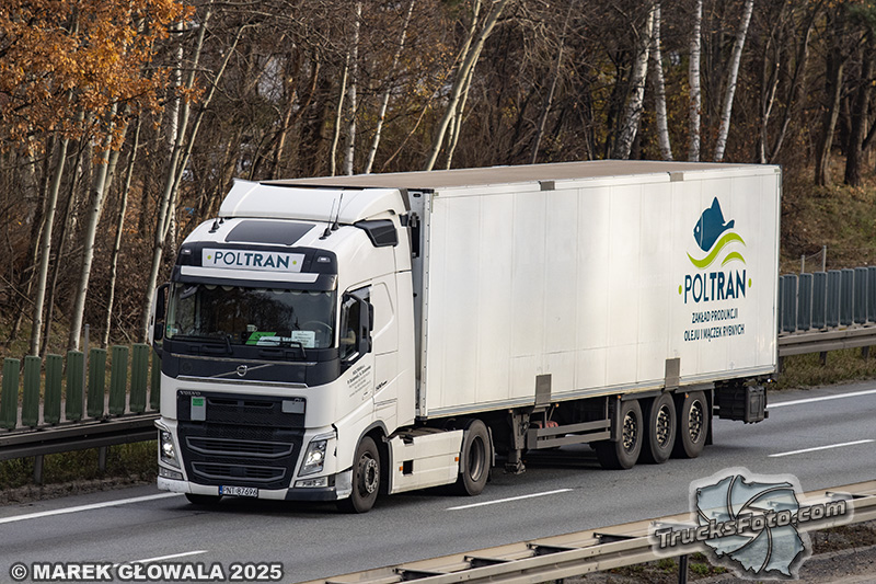 Volvo FH4 - Poltran.jpg