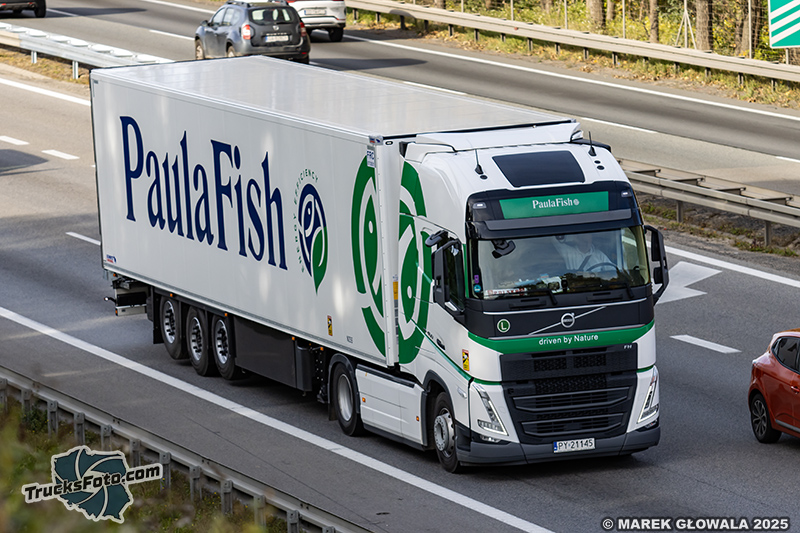 Volvo FH5 Paula Fish.jpg