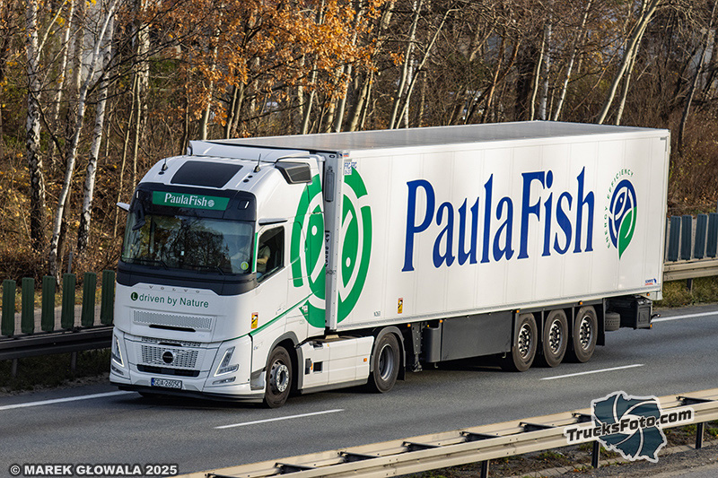 Volvo FH Aero - PaulaFish.jpg