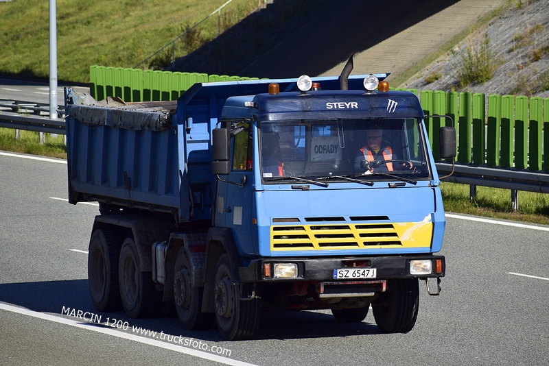 _DSC00011 (2348) STEYR-crop-----.JPG