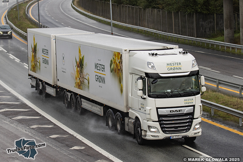 DAF XF - Mester Gronn.jpg