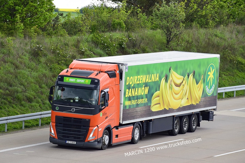 _DSC1828 Fruit-Expert-crop-VOLVO FH5.JPG