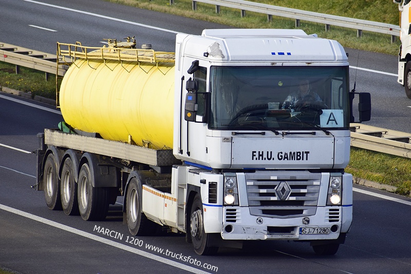 _DSC4647 F.H.U.GAMBIT-crop-RENAULT MAGNUM.JPG