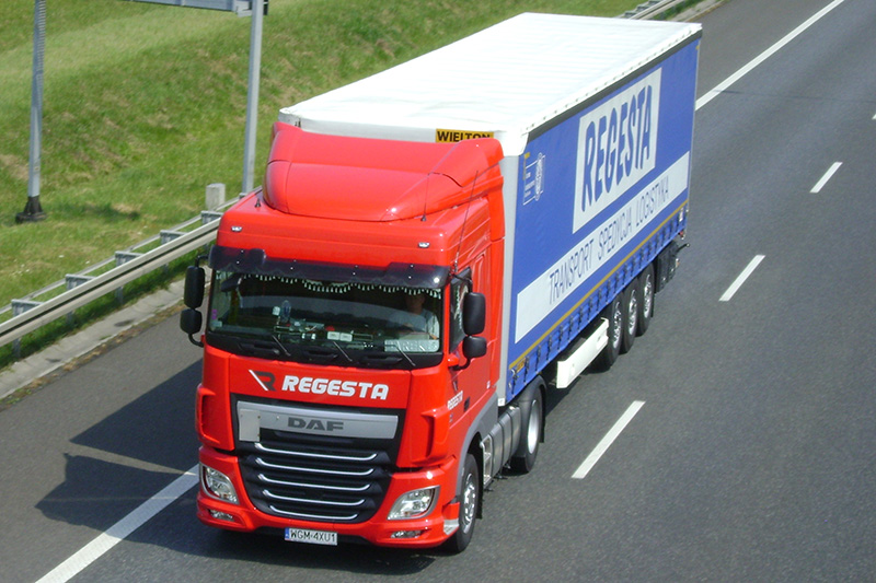DSC06695 DAF Regesta.jpg